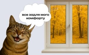 Готуємо вікна до осіннього сезону