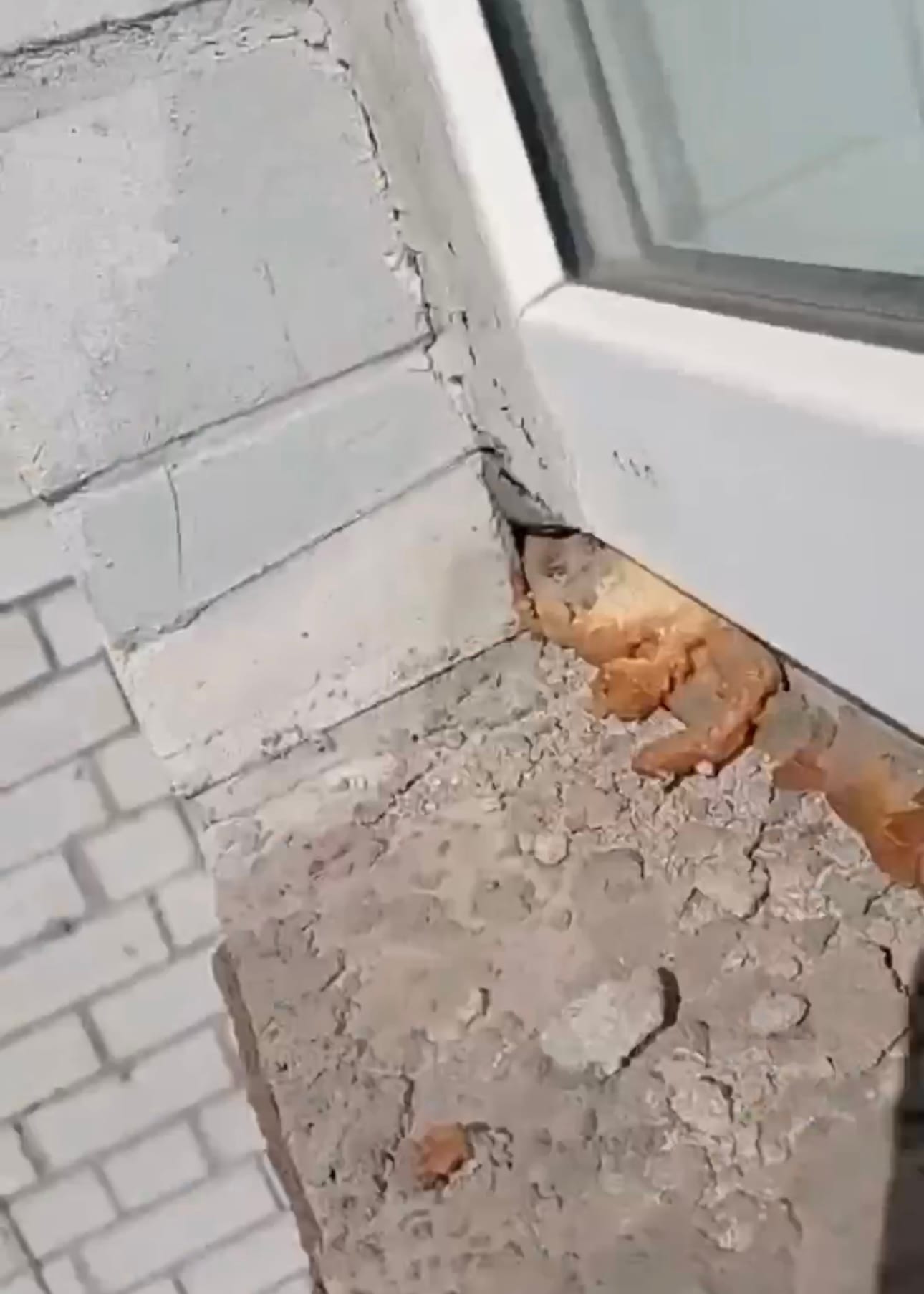 Ремонт вікон